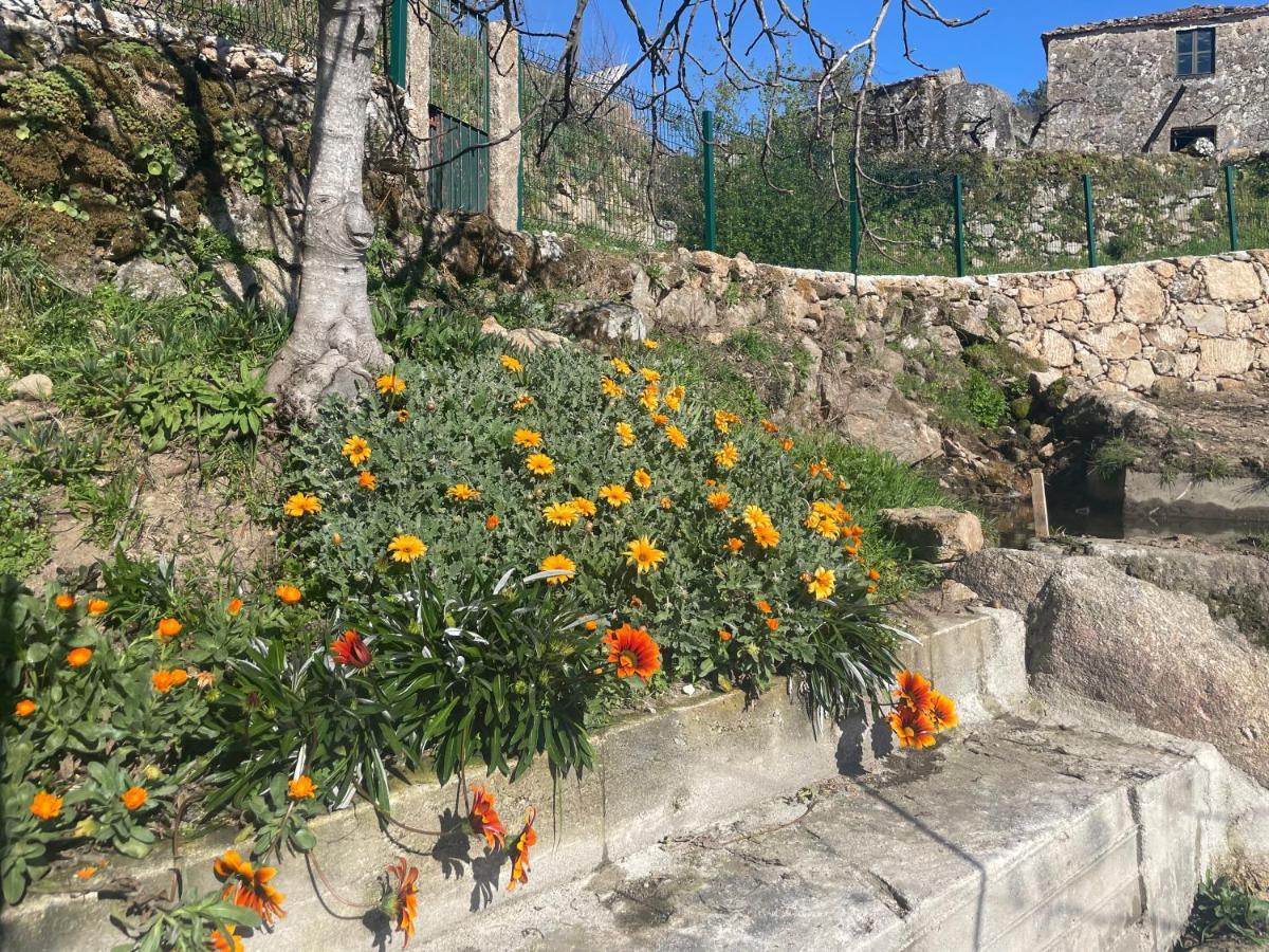 הוילה רסנדה Quintinha De Pinouco מראה חיצוני תמונה
