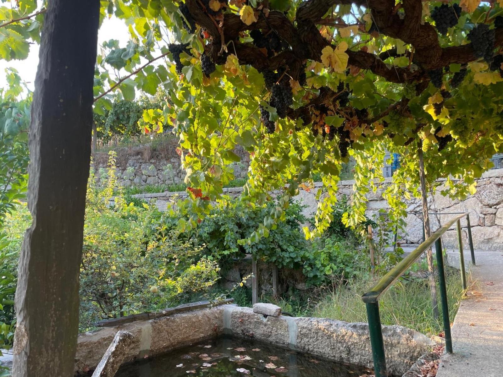 הוילה רסנדה Quintinha De Pinouco מראה חיצוני תמונה
